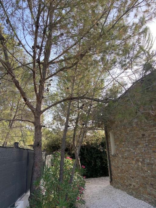Maison Proche Du Pic Saint Loup Экстерьер фото